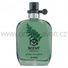 Green Fougere EDT